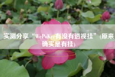 实测分享“WePoKer有没有透视挂”(原来确实是有挂)