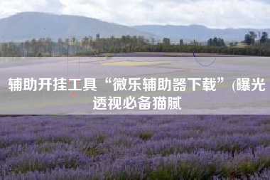 辅助开挂工具“微乐辅助器下载”(曝光透视必备猫腻