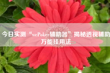 今日实测“wePoker辅助器”揭秘透视辅助万能挂用法