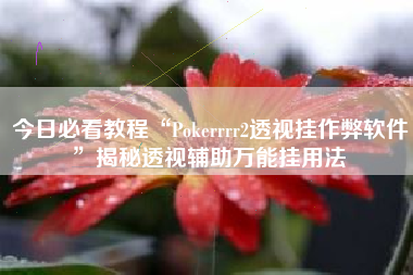 今日必看教程“Pokerrrr2透视挂作弊软件	”揭秘透视辅助万能挂用法
