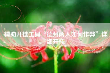 辅助开挂工具“德州两人如何作弊	”详细开挂