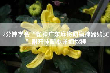 3分钟学会“雀神广东麻将助赢神器购买”附开挂脚本详细教程