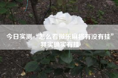 今日实测“怎么看微乐麻将有没有挂”其实确实有挂