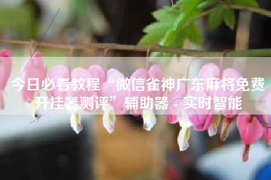 今日必看教程“微信雀神广东麻将免费开挂器测评”辅助器 - 实时智能