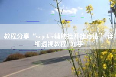 教程分享“wepoker辅助挂开挂方法	”(详细透视教程)-知乎