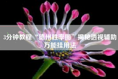 3分钟教程“德州胜率图	”揭秘透视辅助万能挂用法