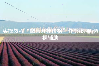 实操教程“微乐开挂价格”作弊(透视)透视辅助