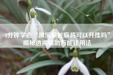 3分钟学会“微乐家长麻将可以开挂吗”揭秘透视辅助万能挂用法