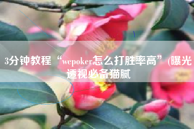 3分钟教程“wepoker怎么打胜率高”(曝光透视必备猫腻