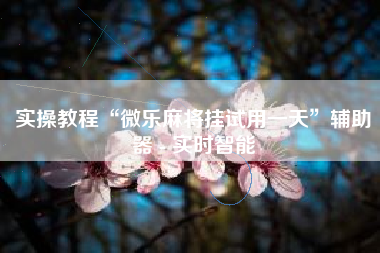 实操教程“微乐麻将挂试用一天”辅助器 - 实时智能