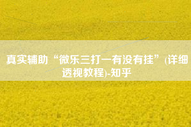 真实辅助“微乐三打一有没有挂”(详细透视教程)-知乎