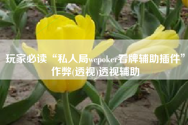 玩家必读“私人局wepoker看牌辅助插件”作弊(透视)透视辅助