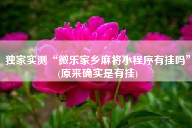 独家实测“微乐家乡麻将小程序有挂吗”(原来确实是有挂)