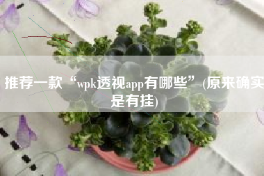 推荐一款“wpk透视app有哪些”(原来确实是有挂)
