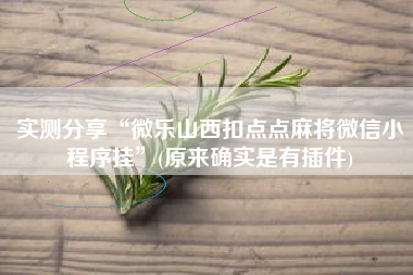 实测分享“微乐山西扣点点麻将微信小程序挂	”(原来确实是有插件)