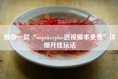 推荐一款“wepokerplus透视脚本免费”详细开挂玩法