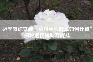 必学教你安装“德州手牌胜率如何计算	”揭秘透视辅助万能挂