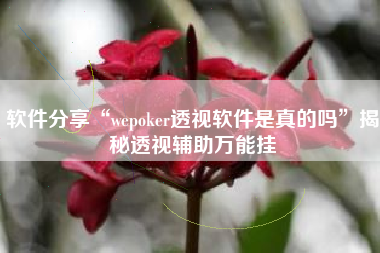 软件分享“wepoker透视软件是真的吗	”揭秘透视辅助万能挂