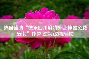 教程辅助“微乐四川麻将外卦神器免费安装”作弊(透视)透视辅助