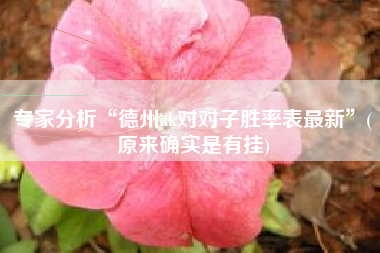 专家分析“德州ak对对子胜率表最新	”(原来确实是有挂)