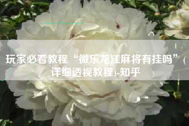 玩家必看教程“微乐龙江麻将有挂吗”(详细透视教程)-知乎
