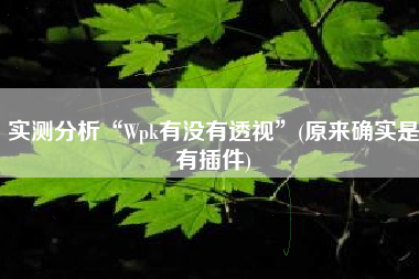 实测分析“Wpk有没有透视”(原来确实是有插件)