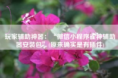 玩家辅助神器：“微信小程序雀神辅助器安装包”(原来确实是有插件)