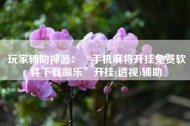 玩家辅助神器：“手机麻将开挂免费软件下载微乐”开挂(透视)辅助