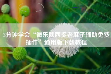 3分钟学会“微乐陕西捉老麻子辅助免费插件”通用版下载教程