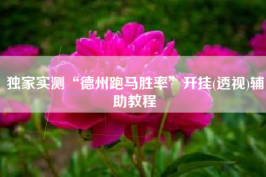 独家实测“德州跑马胜率”开挂(透视)辅助教程