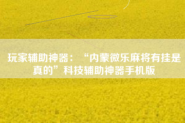 玩家辅助神器：“内蒙微乐麻将有挂是真的”科技辅助神器手机版