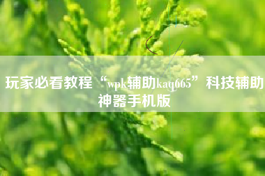 玩家必看教程“wpk辅助kaq665”科技辅助神器手机版