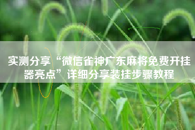 实测分享“微信雀神广东麻将免费开挂器亮点”详细分享装挂步骤教程