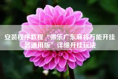 安装程序教程“微乐广东麻将万能开挂器通用版”详细开挂玩法