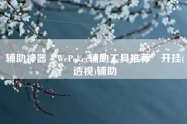 辅助神器“WePoker辅助工具推荐	”开挂(透视)辅助