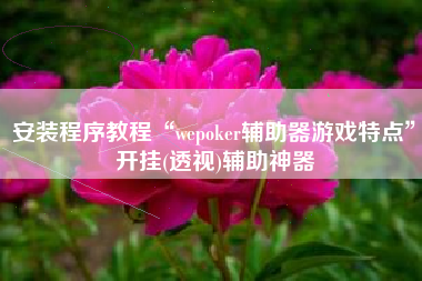 安装程序教程“wepoker辅助器游戏特点”开挂(透视)辅助神器