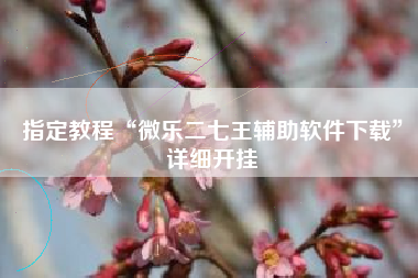 指定教程“微乐二七王辅助软件下载”详细开挂