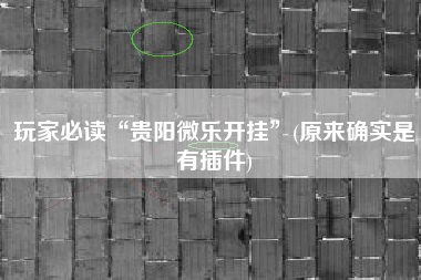 玩家必读“贵阳微乐开挂	”(原来确实是有插件)