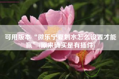 可用版本“微乐宁夏划水怎么设置才能赢	”(原来确实是有插件)