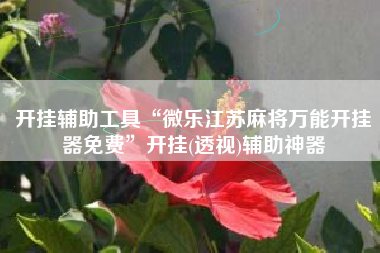 开挂辅助工具“微乐江苏麻将万能开挂器免费”开挂(透视)辅助神器 开挂辅助工具“微乐江苏麻将万能开挂器免费”开挂(透视)辅助神器