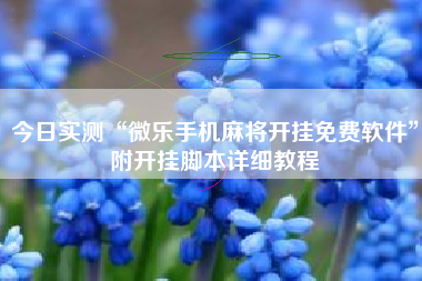 今日实测“微乐手机麻将开挂免费软件”附开挂脚本详细教程