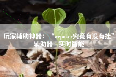 玩家辅助神器：“wepoker究竟有没有挂”辅助器 - 实时智能