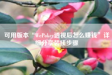 可用版本“WePoker透视后怎么赚钱	”详细分享装挂步骤