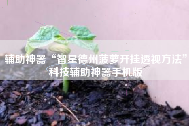 辅助神器“智星德州菠萝开挂透视方法”科技辅助神器手机版