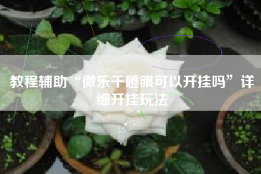 教程辅助“微乐干瞪眼可以开挂吗	”详细开挂玩法