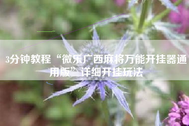 3分钟教程“微乐广西麻将万能开挂器通用版	”详细开挂玩法