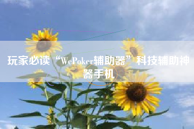 玩家必读“WePoker辅助器	”科技辅助神器手机