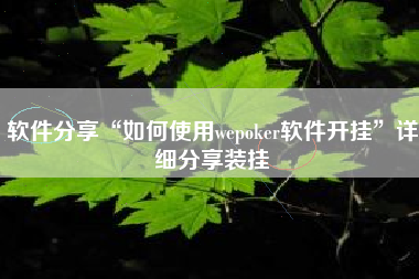 软件分享“如何使用wepoker软件开挂	”详细分享装挂