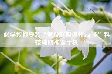 必学教你安装“竞技联盟德州app挂”科技辅助神器手机