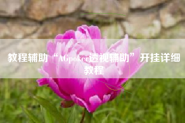 教程辅助“AGpoker透视辅助	”开挂详细教程